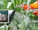 Gardez la main verte avec ce kit entretien plantes et jardin