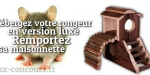 Gagnez une maison pour rongeurs !