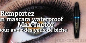 Mascara waterproof Max Factor à gagner