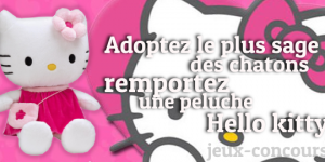 Remportez une Peluche Hello Kitty