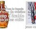 Concours : Sirop d&rsquo;érable les 30 Recettes Culte