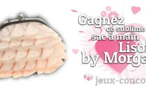 Jouez et Gagnez un sac Lisoir by Morgan