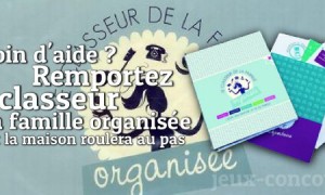 Une organisation bien ficelée avec le classeur de la famille organisée