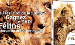 Rugissez de Plaisir en gagnant le DVD Félins