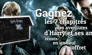 Les 7 chapitres des aventures d&rsquo;Harry Potter enfin réunis dans un coffret