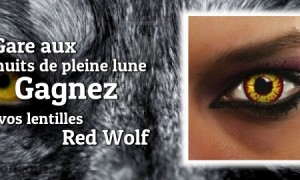 Laisser hurler le loup qui sommeille en vous