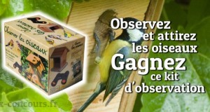 Observez et identifiez les oiseaux qui nous entourent