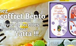 Yatta ! Le coffret Bento est là !
