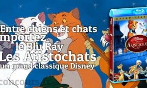 Chat ou Chien ? Rejoignez le camp des Aristochats en BluRay