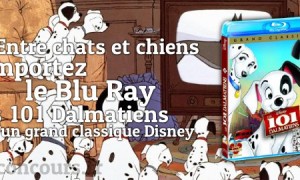 Chien ou Chat ? Rejoignez le camp des Dalmatiens en BluRay