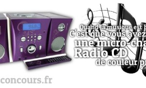 Musique maestro avec la micro-chaine Radio CD Prune