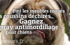 Ça mord par ici : Gagnez un spray antimordillage !