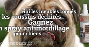 Ça mord par ici : Gagnez un spray antimordillage !