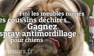 Ça mord par ici : Gagnez un spray antimordillage !