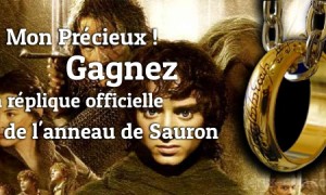 Un Anneau pour les gouverner tous