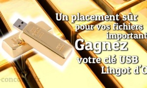 Pas besoin d’être riche pour s’offrir ce magnifique lingot USB