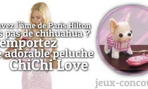 Sans ChiChi mais avec beaucoup de Love pour cette peluche Chihuahua