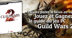 Combattez les dragons dans le jeu Guild Wars 2