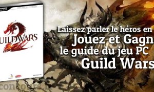 Combattez les dragons dans le jeu Guild Wars 2