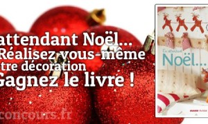 En attendant Noël, le livre pour les amoureux d’une déco magique