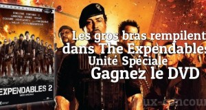 Les bonhommes sont dans le DVD The Expendables 2 !