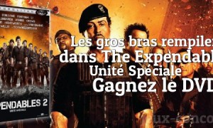 Les bonhommes sont dans le DVD The Expendables 2 !