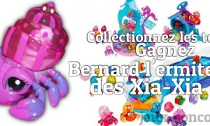 Le Xia Xia Bernard l’ermite attend son gagnant sur la plage