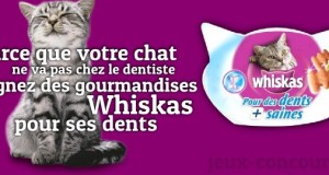 Gagnez des gourmandises Whiskas pour des dents saines