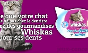 Gagnez des gourmandises Whiskas pour des dents saines