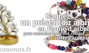 Gagnez un présentoir à bijoux en forme d’arbre