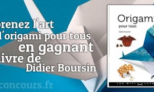 Concours Manuel : Livre Origami pour tous