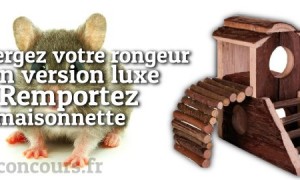 Gagnez une maison pour rongeurs !