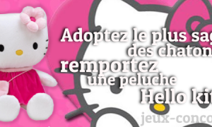 Remportez une Peluche Hello Kitty