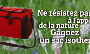 Concours : Sac Isotherme