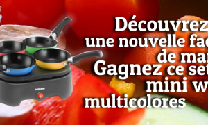 Remportez un Set de 4 Mini Wok Multicolores