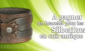 Concours : Bracelet SilberDream en cuir pour homme