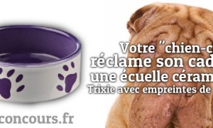Gagnez une Ecuelle Trixie en céramique pour votre animal