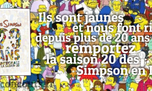Remportez le Coffret dvd de la Saison 20 des Simpson