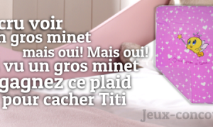 Remportez un Plaid Titi
