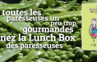 Gagnez La Lunch Box des Paresseuses