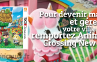 Animal Crossing New Leaf en Jeu