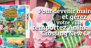 Animal Crossing New Leaf en Jeu